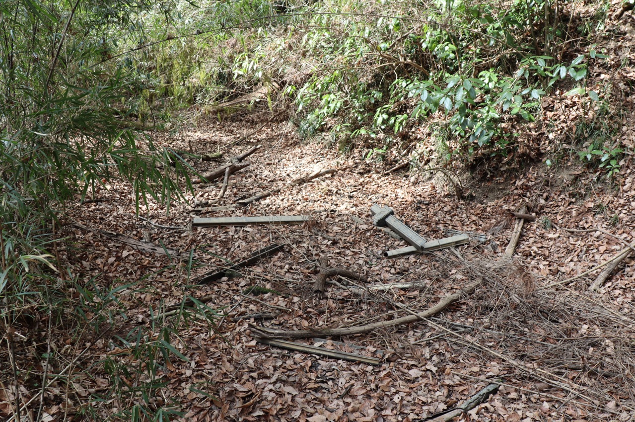 里山Y 林道を下った藪中にある水溜まり ”乾いている”_2022年3月9日13時20分頃_気温14度